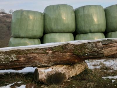 photograph “II.2012” par David Farreny — www.farreny.net — France, hiver, winter, campagne, countryside, bois, wood, tronc, trunk, bille, billet, block, écorce, bark, neige, snow, herbe, grass, plastique, plastic, vert, green, balles, foin, hay, bales, colline, hill, arbres, trees, tas, heap, pile, Occitanie, Aveyron, Rouergue, Olemps