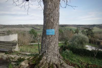 photograph “I.2025” par David Farreny — www.farreny.net — France, Occitanie, Gascogne, Gascony, Lomagne, Gers, Saint-Clar, paysage, landscape, campagne, countryside, arbre, tree, tronc, trunk, hiver, winter, branches, banc, bench, arbres, trees, chemin, path, clôture, fence, grillage, fencing, terrasse, terrace, béton, concrete, pierre, stone, collines, hills, panneau, sign, Merci de penser à sourire, Please remember to smile, On n'est pas responsable de la tête que l'on a, mais on est responsable de la tête que l'on fait !, We are not responsible for the face we have, but we are responsible for the face we make !