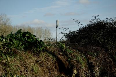 photograph “I.2025 — Whatever” par David Farreny — www.farreny.net — France, Occitanie, Gascogne, Gascony, Gers, Lomagne, campagne, countryside, talus, bank, haie, hedge, herbe, grass, arbres, trees, ciel, sky, bouteille, bottle, plastique, plastic, bâton, stick, nuages, clouds