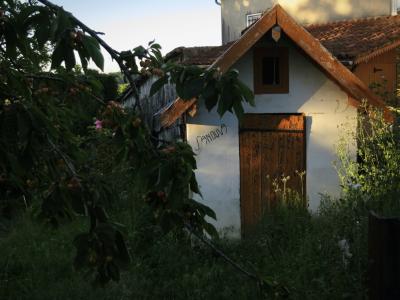 photograph “V.2017 — Faces of home, 250. Notme” par David Farreny — www.farreny.net — France, Occitanie, Gascogne, Gascony, Gers, Jegun, maison, house, maisonnette, little house, porte, door, bois, wood, toit, roof, nom, name, Sanouva, Itsuitsus, jeu de mots, pun, wordplay, tuiles, tiles, arbre, tree, feuilles, leaves, feuillage, foliage, fleurs, flowers, domicile, home