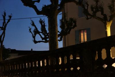 photograph “V.2020 — At night” par David Farreny — www.farreny.net — France, soir, evening, nuit, night, village, maison, house, arbres, trees, platanes, plane trees, balustrade, balustres, balusters, troncs, trunks, toit, roof, fenêtre, window, volets, shutters, lumière, light, balcon, balcony, rideaux, curtains, câble, cable, fil, wire, électrique, électricité, electricity, coin, angle, corner, branches, Occitanie, Gascogne, Gers, Jegun