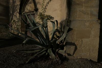 photograph “XI.2018” par David Farreny — www.farreny.net — France, église, church, pierre, stone, porte, door, panneau, sign, plante, plant, gravier, gravel, ombres, shadows, pilier, pillar, mur, wall, agave, nature, feuilles, leaves, Dahl woz ere, Occitanie, Gascogne, Gers, Jegun