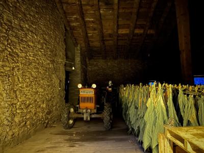 photograph “IX.2024” par David Farreny — www.farreny.net — Andorre, Andorra, Canillo, Prats, soir, evening, grange, barn, séchoir, tabac, tobacco, dryer, toit, feuilles, leaves, accrochées, hanging, séchage, drying, roof, bois, wood, poutre, beam, mur, wall, pierre, stone, tracteur, tractor, vieux, old, Fiat, roues, wheels, pneus, tires, plancher, floor, fenêtres, windows