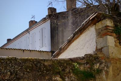 photograph “III.2021” par David Farreny — www.farreny.net — France, maisons, houses, toits, roofs, tuiles, tiles, génoises, pierre, stone, brique, brick, volets, shutters, antennes, antennas, cheminées, chimneys, arbre, tree, triangles, mousse, moss, coins, corners, angles, mur, wall, Occitanie, Gascogne, Gers, Fleurance