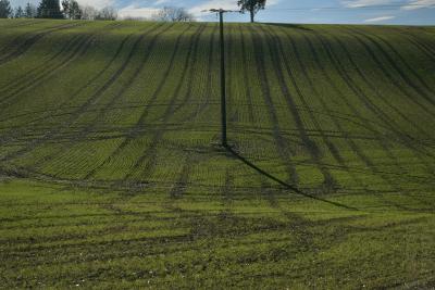 photograph “I.2020” par David Farreny — www.farreny.net — France, Occitanie, Gascogne, Gascony, Gers, Larroque-Saint-Sernin, hiver, winter, champ, field, sillons, furrows, traces, poteau, pole, électrique, electric, electricity, électricité, colline, hill, vallon, valley, arbres, trees, nuages, clouds, câbles, cables, fils, wires, campagne, countryside, dépression, depression