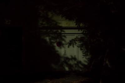 photograph “VIII.2015 — At night” par David Farreny — www.farreny.net — France, Occitanie, Gascogne, Gascony, Gers, Jegun, nuit, night, porte, door, ombre, shadow, feuillage, foliage, feuilles, leaves, pénombre, darkness, sombre, dark