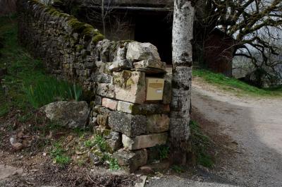 photograph “III.2014” par David Farreny — www.farreny.net — France, campagne, countryside, mur, wall, muret, low wall, pierre, stone, boîte à lettres, letterbox, mailbox, arbres, trees, tronc, trunk, hangar, shed, herbe, grass, métal, metal, mousse, moss, tôle ondulée, corrugated iron, branches, Occitanie, Aveyron, Rouergue, Clairvaux-d'Aveyron, Panat