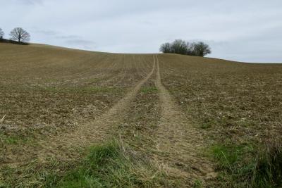 photograph “I.2020 — Road to nowhere” par David Farreny — www.farreny.net — France, Occitanie, Gascogne, Gascony, Gers, Larroque-Saint-Sernin, champ, field, hiver, winter, terre, earth, sol, soil, colline, hill, arbres, trees, herbe, grass, vide, empty, emptiness, chemin, path, tracteur, tractor, ciel, sky, route, road, dépression, depression