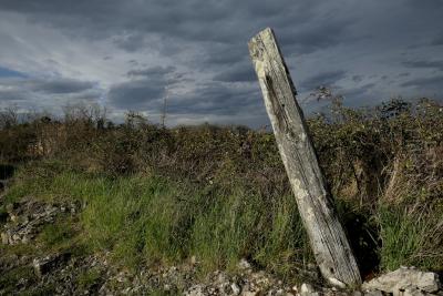 photograph “III.2019” par David Farreny — www.farreny.net — France, Occitanie, Gascogne, Gers, Jegun, broussaille, brush, pierres, stones, poteau, post, pole, bois, wood, ciel, sky, nature, nuages, clouds, herbe, grass, campagne, countryside