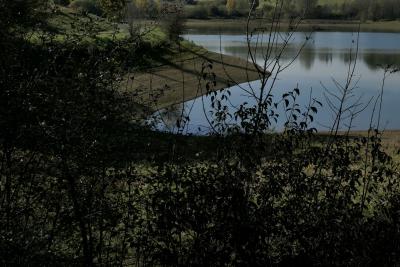 photograph “X.2020” par David Farreny — www.farreny.net — France, lac, lake, eau, water, arbustes, shrubs, arbres, trees, rive, shore, automne, autumn, fall, reflet, reflection, nature, feuilles, leaves, feuillage, foliage, Occitanie, Gascogne, Gers, Lasséran