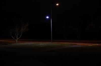 photograph “XII.2013” par David Farreny — www.farreny.net — France, Occitanie, Aveyron, Rouergue, Olemps, nuit, night, hiver, winter, rue, street, herbe, grass, arbuste, shrug, arbre, tree, poteau, post, pole, électrique, electricity, lampes, lamps, lampe, lamp, lumière, light, passage piétons, zebra crossing, vide, empty, emptiness, branches