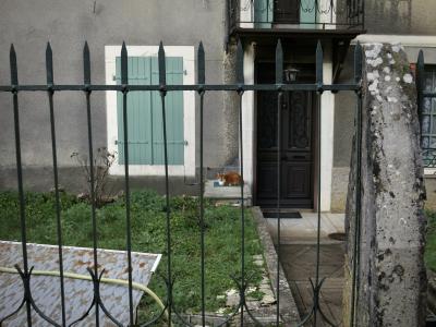 photograph “I.2025 — Faces of home, 247. Soft guard” par David Farreny — www.farreny.net — France, Occitanie, Tarn-et-Garonne, Septfonds, maison, house, chat, cat, animal, roux, ginger, fenêtres, windows, volets, shutters, bois, wood, jardin, jardinet, garden, herbe, gras, tuyau, arrosage, hose, ciment, cement, clôture, fence, métal, metal, balcon, balcony, lampe, lamp, crépi, roughcast, gris, grey, gray, bleu, vert, green, blue, rideaux, curtains, fleurs, flowers, domicile, home