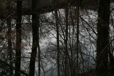 photograph “III.2010 — Down by the water” par David Farreny — www.farreny.net — France, rivière, river, arbres, trees, soir, evening, reflets, reflections, profusion, Aveyron, Rouergue, Occitanie, Olemps