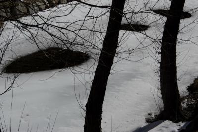 photograph “II.2023” par David Farreny — www.farreny.net — Andorre, Andorra, Canillo, rivière, river, Valira d'Orient, Valira, glace, ice, eau, water, hiver, winter, froid, cold, trous, holes, arbres, trees, troncs, trunks, branches, rive, shore, rochers, rocks, nature, neige, snow