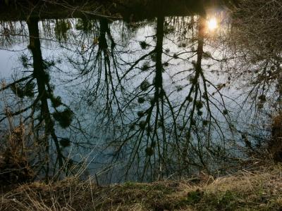 photograph “III.2012 — Passing springtime” par David Farreny — www.farreny.net — France, printemps, spring, springtime, rivière, river, reflet, reflection, arbres, trees, gui, mistletoe, eau, water, rives, banks, soir, evening, herbe, grass, soleil, sun, branches, profusion, Occitanie, Aveyron, Rouergue, Rodez, Olemps, Bourran