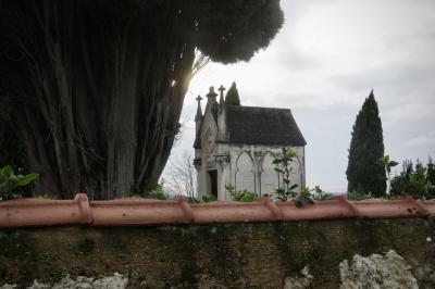 photograph “I.2025 — Sustainable real estate investment” par David Farreny — www.farreny.net — France, Occitanie, Gascogne, Gascony, Lomagne, Tarn-et-Garonne, Gramont, cimetière, cemetery, graveyard, mur, wall, tuiles, tiles, cyprès, cypresses, arbres, trees, chapelle funéraire, funeral chapel, pierre, stone, plantes, plants, feuilles, leaves, hiver, winter