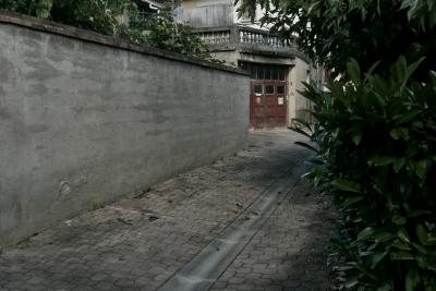 photograph “IX.2024 — Faces of home, 237” par David Farreny — www.farreny.net — France, Occitanie, Tarn-et-Garonne, Nègrepelisse, ruelle, alley, passage, mur, wall, béton, concrete, gris, grey, gray, haie, hedge, maison, house, garage, portail, gate, balcon, balcony, balustrade, ciment, cement, gouttière, drainpipe, feuilles, leaves, feuillage, foliage, domicile, home