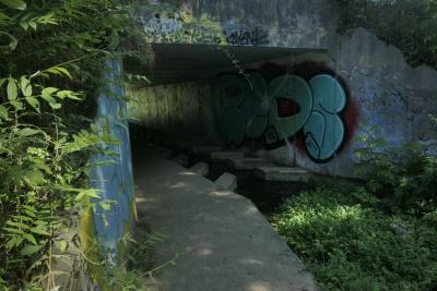 photograph “IX.2024” par David Farreny — www.farreny.net — France, Occitanie, Tarn-et-Garonne, Monteils, béton, concrete, tunnel, passage, plantes, plants, végétation, vegetation, tags, graffitis, eau, water, lumière, light, feuilles, leaves, feuillage, foliage