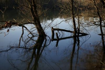 photograph “II.2025 — Direction” par David Farreny — www.farreny.net — France, Occitanie, Tarn-et-Garonne, Puygaillard-de-Quercy, campagne, countryside, lac, lake, lac du Gouyre, eau, water, arbres, trees, troncs, trunks, branches, branchages, reflet, reflection, bois, wood, nature, triangle, flèche, arrow, direction, sens, droite, right, hiver, winter