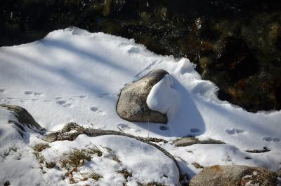 photograph “I.2024” par David Farreny — www.farreny.net — Andorre, Andorra, Canillo, hiver, winter, rivière, river, Valira, Valira d'Orient, eau, water, neige, snow, glace, ice, rochers, rocks, traces, footprints, chat, cat, pattes, paws, ombre, shadow, herbe, grass