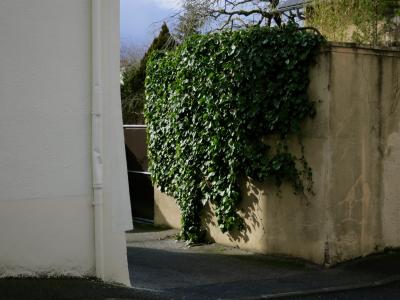 photograph “I.2012 — The slow escape” par David Farreny — www.farreny.net — France, rue, street, mur, wall, lierre, ivy, gouttière, drainpipe, ciment, cement, jardin, garden, arbres, trees, trottoir, pavement, ville, city, végétation, vegetation, Occitanie, Aveyron, Rouergue, Rodez