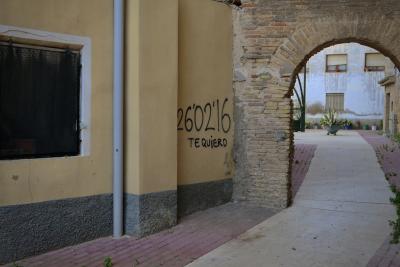 photograph “III.2023 — 26’02’16” par David Farreny — www.farreny.net — Espagne, España, Spain, Aragon, Aragón, Saragosse, Zaragoza, Ribera Alta del Ebro, Pedrola, ville, city, bourgade, town, ruelle, alley, allée, arche, arch, porte, door, mur, wall, gouttière, drainpipe, fenêtres, windows, plastique, plastic, graffiti, tag, inscription, 26’02’16, te quiero, je t'aime, I love you, brique, brick, dallage, paving, crépi, roughcast, pots, plantes, plants, stores