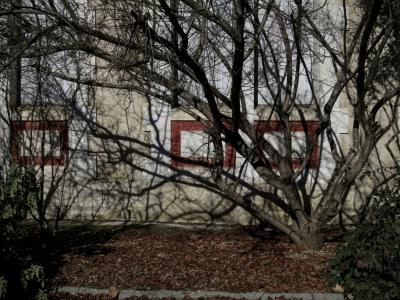 photograph “II.2025” par David Farreny — www.farreny.net — France, Occitanie, Tarn-et-Garonne, Septfonds, maison, house, pierre, stone, fenêtres, windows, volets, shutters, arbre, tree, branches, branchages, profusion, feuilles, leaves, mortes, dead, rectangles, rouges, red, ombre, shadow, mur, wall