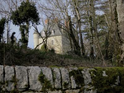 photograph “I.2014 — New year\'s walk” par David Farreny — www.farreny.net — France, Midi-Pyrénées, Aveyron, Salles-la-Source, Cadayrac, château, castle, poivrière, pepper-box, mur, wall, pierre, stone, mousse, moss, arbres, trees, bois, wood, hiver, winter, profusion, Occitanie