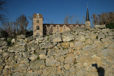 photograph “I.2020” par David Farreny — www.farreny.net — France, Occitanie, Gascogne, Gers, Larroque-Saint-Sernin, Macary, château, castel, communs, dépendances, outbuildings, XIXe siècle, 19th century, muret, low wall, pierre, stone, tours, towers, toiture, roofing, toit, roof, ombre, shadow, photographe, photographer, hiver, winter, fenêtres, windows, arbres, trees, branches, bâtiment, building, architecture