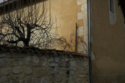 photograph “I.2019” par David Farreny — www.farreny.net — France, maison, house, pierre, stone, coin, angle, corner, mur, wall, arbre, tree, hiver, winter, jardin, garden, gouttière, drainpipe, métal, metal, fenêtre, window, campagne, countryside, Occitanie, Gascogne, Gers, Jegun