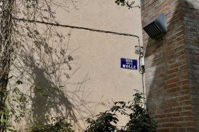 photograph “IX.2024 — Sex recession” par David Farreny — www.farreny.net — France, Occitanie, Tarn-et-Garonne, Montauban, ville, city, mur, wall, crépi, roughcast, brique, brick, rue, street, plaque, plate, métal, metal, rue de la Molle, Soft thing street, lampe, lamp, câbles, cables, fils, wires, plantes, plants, feuilles, leaves, ombre, shadow