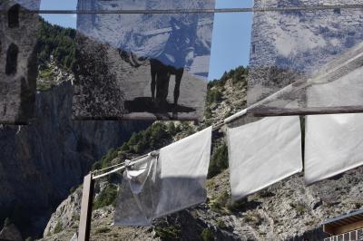 photograph “IV.2023” par David Farreny — www.farreny.net — Andorre, Andorra, Canillo, montagne, mountains, câbles, cables, photographies, photographs, photos, images, exposition, vieux, old, âne, donkey, chargé, loaded, mur, wall, noir et blanc, black and white, animal, translucide, translucent, poteau, pole, post, métal, metal, immeuble, bâtiment, building, arbres, trees, forêt, forest, rocher, rock, toile, cloth