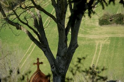 photograph “III.2025” par David Farreny — www.farreny.net — France, Occitanie, Gascogne, Gascony, Lomagne, Gers, Lectoure, cimetière, cemetery, tombes, tombs, graves, croix, crosses, métal, metal, pierre, stone, arbre, tree, tronc, trunk, branches, colline, hill, champ, field, traces, tracteur, tractor, feuilles, leaves, chemins, paths, campagne, countryside, dépression, depression