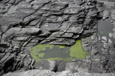 photograph “VI.2019 — Run away to the North, 283” par David Farreny — www.farreny.net — Norvège, Norway, Norge, Vestland, Hordaland, Austevoll, Stora Kalsøy, Skansen, île, island, eau, water, stagnante, stagnant, vert, green, rocher, roche, rock, rivage, seashore, mousse, verte, moss, algues, algae