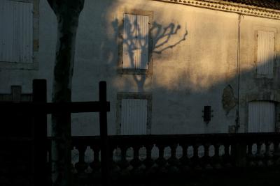 photograph “II.2019” par David Farreny — www.farreny.net — France, Occitanie, Gascogne, Gers, Jegun, village, hiver, winter, soir, evening, rue, street, maison, house, fenêtres, windows, volets, shutters, bois, wood, arbre, tree, platane, plane tree, ombre, shadow, rambarde, guardrail, lumière, light, balustrade, balustres, balusters, tronc, trunk, garage, portail, gate, génoise, toit, roof, tuiles, tiles, câble, cable, fil, wire, pierre, stone, pénombre, darkness, sombre, dark