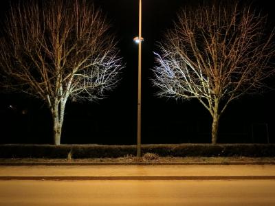 photograph “III.2012” par David Farreny — www.farreny.net — France, nuit, night, rue, street, arbres, trees, lampadaire, réverbère, lamp, haie, hedge, trottoir, pavement, branches, ville, city, raie jaune du sodium, Occitanie, Aveyron, Rouergue, Olemps