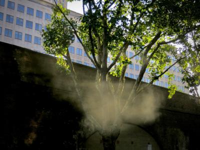 photograph “VIII.2015 — Smoke lingers ’round your fingers” par David Farreny — www.farreny.net — Grande-Bretagne, Great Britain, Royaume-Uni, United Kingdom, Angleterre, England, GB, UK, Londres, London, Waterloo station, South Bank, bâtiment, immeuble, building, verre, vitre, glass, paroi, mur, wall, arbre, tree, branches, branchages, feuilles, leaves, feuillage, foliage, fenêtres, windows, fumée, smoke, pont, bridge, brique, brick, platane, plane tree