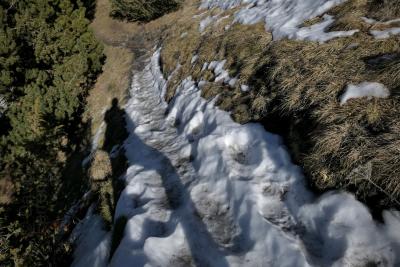 photograph “II.2023 — Danger” par David Farreny — www.farreny.net — Andorre, Andorra, Canillo, chemin, path, glissant, slippery, neige, snow, glace, ice, pente, slope, montagne, mountain, arbres, trees, herbe, grass, hiver, winter, ombre, shadow, danger, nature