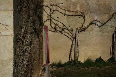 photograph “XII.2015” par David Farreny — www.farreny.net — France, Occitanie, Gascogne, Gers, Saint-Lary, église, church, mur, wall, pierre, stone, rosier, rosebush, rose tree, hiver, winter, angle, coin, corner, panneau, sign, roadsign, métal, metal, herbe, grass, poteau, post, pole, bois, wood