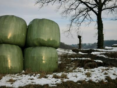 photograph “II.2012” par David Farreny — www.farreny.net — France, hiver, winter, campagne, countryside, arbres, trees, neige, snow, branches, champs, fields, herbe, grass, plastique, plastic, vert, green, balles, foin, bales, hay, Occitanie, Aveyron, Rouergue, Olemps