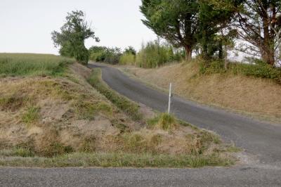 photograph “VIII.2024 — Whatever” par David Farreny — www.farreny.net — France, Occitanie, Gascogne, Gascony, Gers, Biran, campagne, countryside, route, road, bitume, blacktop, asphalte, asphalt, carrefour, croisement, crossroads, arbres, trees, champ, field, herbe, grass, panneau, sign, routier, roadsign, banal, common