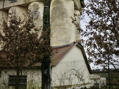 photograph “XII.2024” par David Farreny — www.farreny.net — France, Occitanie, Gascogne, Gascony, Lomagne, Gers, Saint-Léonard, béton, concrete, ciment, cement, céréales, cereal, lierre, ivy, tours, towers, toit, roof, tôle ondulée, corrugated iron, grillage, fencing, clôture, fence, hiver, winter, fenêtre, window, grille, railing, feuilles, leaves, foliage, gris, grey, gray, poteau, post, pole, arbres, trees, arbustes, shrubs, dépression, depression