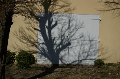 photograph “II.2016” par David Farreny — www.farreny.net — France, Occitanie, Gascogne, Gascony, Gers, Peyrusse-Massas, hiver, winter, maison, house, garage, portail, gate, bois, wood, arbre, tree, tronc, trunk, branches, ombre, shadow, mur, wall, paroi