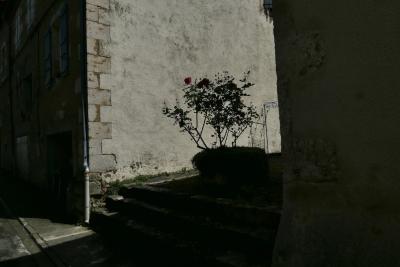 photograph “V.2021” par David Farreny — www.farreny.net — France, Occitanie, Gascogne, Gascony, Gers, Jegun, village, rue, street, angle, coin, corner, mur, wall, pierre, stone, fleurs, flowers, roses, rosier, rosebush, pot, escalier, marches, steps, stairs, gouttière, drainpipe, métal, metal, étendoir, drying rack, porte, door, fenêtres, windows, gris, grey, gray, volets, shutters, trottoir, pavement