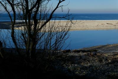 photograph “XII.2019 — Un invierno asturiano” par David Farreny — www.farreny.net — Espagne, Spain, España, Asturies, Asturias, Llanes, Posada, San Antolín de Bedón, mer, sea, rivage, shore, hiver, winter, océan, Atlantic, ocean, eau, water, arbre, tree, cailloux, stones, banc, branches, horizon, paysage, landscape, marin, seascape, Naves