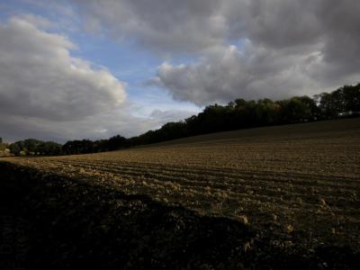 photograph “X.2016” par David Farreny — www.farreny.net — France, champ, field, automne, autumn, fall, bois, woods, arbres, trees, nuages, clouds, ciel, sky, soir, evening, campagne, countryside, paysage, landscape, terre, earth, soil, Occitanie, Gascogne, Jegun