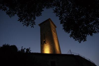 photograph “VII.2024” par David Farreny — www.farreny.net — France, Occitanie, Gascogne, Gascony, Gers, Biran, tour, tower, tour de guet, watchtower, Moyen Âge, Middle Ages, médiéval, medieval, pierre, stone, soir, evening, nuit, night, branches, branchages, mur, wall, paroi, lumière, light, grillage, fencing, clôture, fence, tuiles, tiles, feuillage, foliage, feuilles, leaves