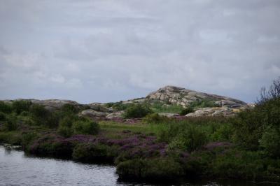 photograph “VIII.2019 — Run away to the North, 289” par David Farreny — www.farreny.net — Suède, Sverige, Sweden, Bohuslän, Västra Götaland, Sotenäs, Hunnebostrand, Ramsvik, île, island, archipel, achipelago, paysage, landscape, carte postale, postcard, nature, mer, sea, eau, water, rochers, rocks, ciel, sky, nuages, clouds, fleurs, flowers