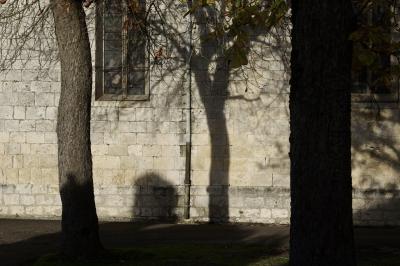 photograph “XI.2024” par David Farreny — www.farreny.net — France, Occitanie, Gascogne, Gascony, Lomagne, Gers, Tournecoupe, village, église, church, mur, wall, pierre, stone, vitraux, stained glass windows, arbres, trees, troncs, trunks, branches, branchages, ombre, shadow, gouttière, drainpipe, métal, metal, automne, fall, autumn, feuilles, leaves, écorce, bark