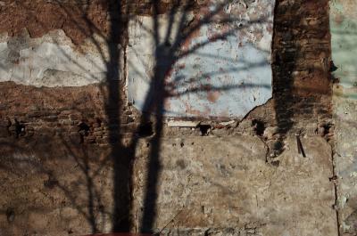 photograph “I.2014” par David Farreny — www.farreny.net — France, mur, wall, pierre, stone, peinture, painting, ombre, shadow, arbres, trees, antenne, antenna, branches, hiver, winter, Occitanie, Aveyron, Rouergue, Rodez